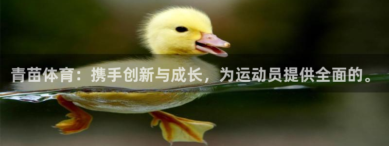 青苗体育：携手创新与成长，为运动员提供全面的。