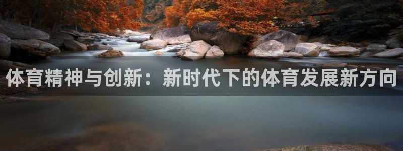 体育精神与创新：新时代下的体育发展新方向