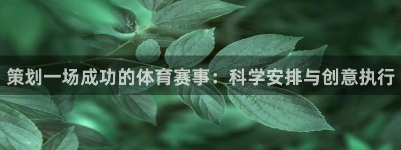 策划一场成功的体育赛事：科学安排与创意执行