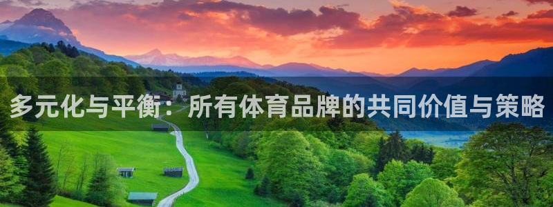 多元化与平衡：所有体育品牌的共同价值与策略