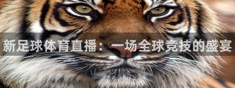 新足球体育直播：一场全球竞技的盛宴