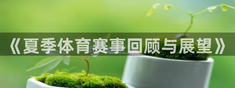 《夏季体育赛事回顾与展望》